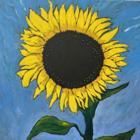 Curious Forge Member Club